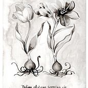 Dibujo botánico en Tinta China.. Drawing project by Griselle Morales Padrón - 04.05.2020