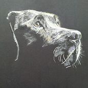 Ilustración con pastel y lápices de colores, sobre cartulina negra . % Paco Ruiz tarafından hazırlanan Geleneksel illüstras, Ve on projesi - 04.06.2020