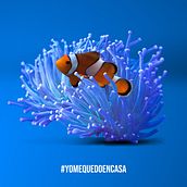 #yomequedoencasa by Rex. Creativit project by Carlos Rex Estrada - 04.06.2020