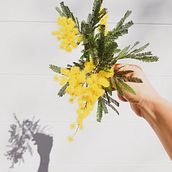 Mi Proyecto del curso: Fotografía profesional para Instagram. Photographic Composition, Photograph, Mobile Photograph, and Product Photograph project by Nagore Valera Boado - 04.06.2020