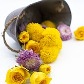 Mi Proyecto del curso: Fotografía profesional para Instagram . % Maricela Castellanos tarafından hazırlanan Poster Tasarımı, Ve Fotoğrafçılık projesi - 04.07.2020