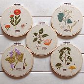 Bordados botánicos  Ein Projekt aus dem Bereich Stickerei und Botanische Illustration von Gabi G - 08.04.2020