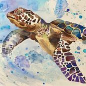 Mi Proyecto del curso: Técnicas modernas de acuarela. Watercolor Sea turtle. Projekt z dziedziny Trad, c i jna ilustracja użytkownika MariLuz Gaspar - 10.04.2020