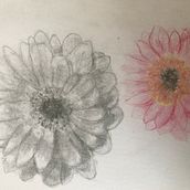 Bocetos experimentar con acuarela Ein Projekt aus dem Bereich Zeichnung von Romina Tapia - 09.04.2020