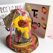 Mi proyecto final. Architecture project by Pao Navarrete - 04.10.2020