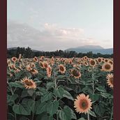 Mi Proyecto del curso: Creación y edición de contenido para Instagram Stories. Un projet de  de Ele GL - 11.04.2020