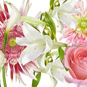 RAMOS DE FLORES-dibujo y pintura digital. Un progetto di Design digitale di Laura Porcelli - 11.03.2019