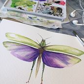 Mariposas Ein Projekt aus dem Bereich Instagram von Verónica Azorín - 11.04.2020