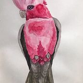 Cacatúa. Un projet de Aquarelle de Camila Molina Loyola - 03.04.2020