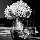 Mi Proyecto del curso: Fotografía en blanco y negro: revelado y retoque digital. Un proyecto de Fotografía de Victor Perez - 12.04.2020