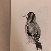 Dibujos no terminados grafito. Een project van  Schetsen,  Tekening y Tekening met potlood van Rosario Balmaceda - 13.04.2018