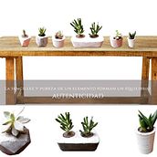 MI PROYECTO DEL CURSO. Een project van Interieurontwerp van Adriana Panozo Muguertegui - 14.04.2020