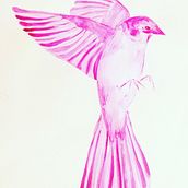 Animalario Acuarela. Een project van  Beeldende kunst,  Schetsen,  Tekening,  Artistieke tekening, Realistische tekening y Traditionele illustratie van Eva Méndez DoRoxo - 14.04.2020