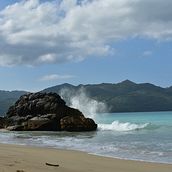 Mi Proyecto del curso: Playas Escondidas, Las Galeras, R. D.. Un proyecto de Fotografía en exteriores de Elis Zabala - 15.04.2020