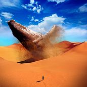 Desert Whale. Digital Design, Graphic Design, and Digital Illustration project by Cristian Alvarez - 04.16.2020