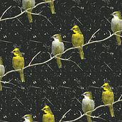Coleção Cardeal-Amarelo. Fine Arts, Design, Graphic Design, Pattern Design, Decoration, Fashion Design, Product Design, Traditional illustration, and Watercolor Painting project by Mariana Prestes - 12.15.2015