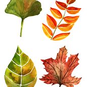 Mi Proyecto del curso: Ilustración botánica con acuarela. Un progetto di Disegno artistico e Design di Siboney Appelgren - 17.04.2020