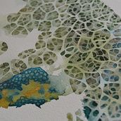 Micromundos. Fine Arts, and Creativit project by Myriam - 04.18.2020