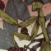 Belladonna. Drawing, Artistic Drawing, Poster Design, Graphic Design, and Traditional illustration project by Pedro Pérez Mendoza - 04.18.2020