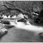 Mi Proyecto del curso: Revelado analógico en blanco y negro Ein Projekt aus dem Bereich Außenfotografie von Miguel Jarillo García - 18.04.2020