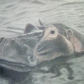 Grafito. Pencil Drawing project by Pedro Martínez Talaván - 04.19.2020