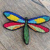 Dragonfly. Embroider project by Ioana Dragulinescu - 04.20.2020