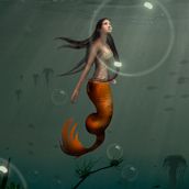 Ariel. Creativit project by Tony Aroni - 04.21.2017