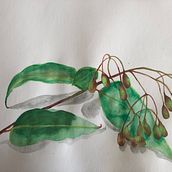 Gum Leaves. Watercolor Painting project by Erin Harrison - 04.21.2020