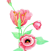 Meu projeto do curso: Ilustração botânica com aquarela. Botanical Illustration, and Watercolor Painting project by Henrique Gomes - 06.03.2020