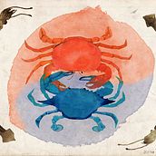 bandera Corea-Mariscos. Creativit, Digital Drawing, Digital Design, Digital Illustration, Watercolor Painting, and Digital Painting project by jcotar - 04.22.2020