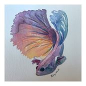 Pez Betta. Un progetto di Pittura ad acquerello di Dany Pera Char - 15.04.2020