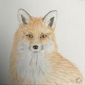 Zorro . Un progetto di Pittura ad acquerello di Dany Pera Char - 23.04.2020