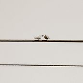 Los veranos en casa. Photograph project by Juan Carlos Alabarce Bustos - 04.23.2020