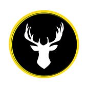 Desarrollo de marca agencia de contenido Deer Life. Content Marketing project by Abraham Labrador - 04.23.2020