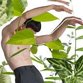Plantasy. Collage, Photographic Composition, Photograph, Fine-Art Photograph, Fashion Photograph, Portrait Photograph, Digital Photograph, Instagram Photograph, Commercial Photograph, and Photo Retouching project by Carlos Bra - 04.24.2020
