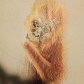 Taller de pintura para la relajacion. Artistic Drawing project by Irene Beatriz Rodríguez Pruneda - 04.25.2020