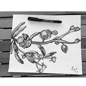 Algunas Obras. Fine Arts project by Lourdes Colussi - 04.25.2020