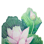 Mi Proyecto del curso: Técnicas de acuarela en negativo para ilustración botánica. Arts, Crafts, Creativit, Artistic Drawing, Botanical Illustration, and Watercolor Painting project by Samanta Fernández García - 04.27.2020
