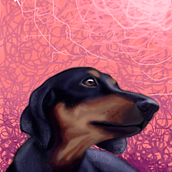 Mi Mascotas Kiahara. Fine Arts, Concept Art, Creativit, Artistic Drawing, Digital Drawing, Realistic Drawing, Traditional illustration & Instagram project by saballosrene - 02.13.2018