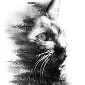 Ensoñación Ein Projekt aus dem Bereich Artistische Fotografie und Traditionelle Illustration von Caro Calderón - 30.04.2020