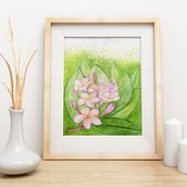 Mi Proyecto del curso: Técnicas de acuarela en negativo para ilustración botánica. Un progetto di Illustrazione tradizionale, Illustrazione botanica e Pittura ad acquerello di Adriana Liborius - 30.04.2020