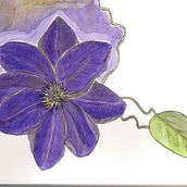 Flowers 1 - before course. Botanical Illustration project by Nika Le Dantec - 05.01.2020