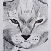 Mi Proyecto es un video del trabajo hecho durante el curso, y la cuenta de instangram en la que lié publicando poco a poco mis dibujos. . Drawing project by Penelope Romero Rumi - 05.01.2020