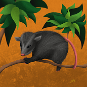 Mi Proyecto del curso: Ilustración digital con Procreate. Digital Illustration project by Sary Lm - 05.01.2020