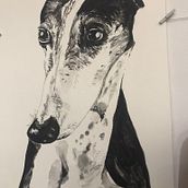 Mi Proyecto del curso: Técnicas experimentales de acuarela para principiantes . Pintura em aquarela projeto de socorro Lopez - 07.03.2021
