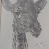 Sudafrica en un cuaderno Ein Projekt aus dem Bereich Bleistiftzeichnung von Oihane - 02.05.2020