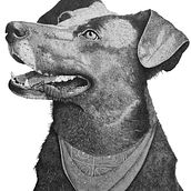 Negro MataPacos en Puntillismo. Desenho, Desenho a lápis, Desenho artístico, Desenho realista e Ilustração tradicional projeto de Nicolás Sáez - 03.05.2020