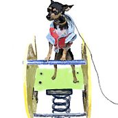 Milo the dog  . % Carlos Peña Gutierrez tarafından hazırlanan Animas, Ve on projesi - 04.15.2020
