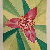 Flores exóticas. Un progetto di  di Laura Pardo - 03.05.2020