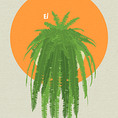 Samambaia Ein Projekt aus dem Bereich Botanische Illustration, Digitale Illustration und Vektorillustration von Ellen Moura - 01.05.2020